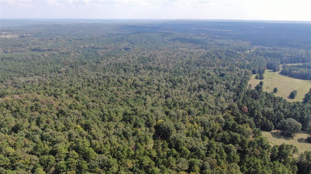 0 County Road 280 Garrison, TX 75946 - Photo 12 of 29