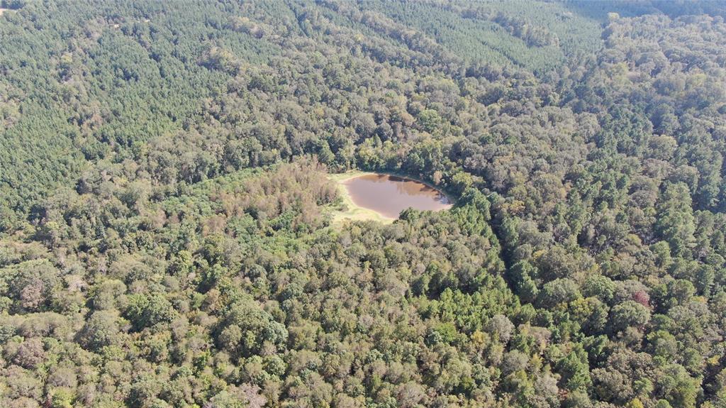 0 County Road 280 Garrison, TX 75946 - Photo 13 of 29