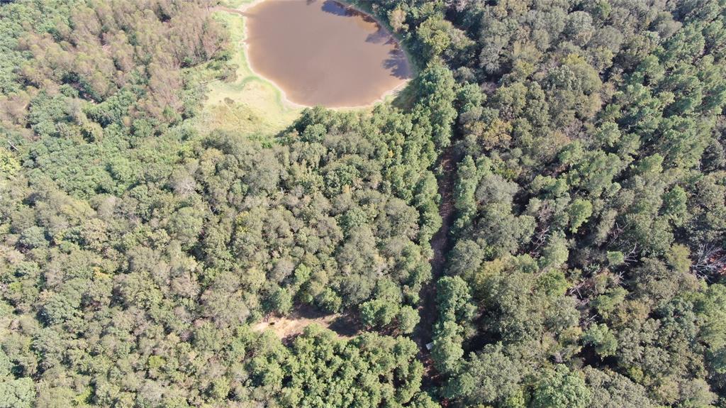 0 County Road 280 Garrison, TX 75946 - Photo 14 of 29