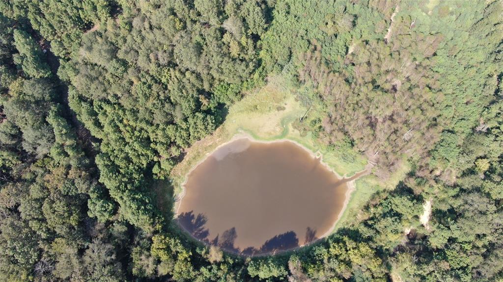 0 County Road 280 Garrison, TX 75946 - Photo 15 of 29