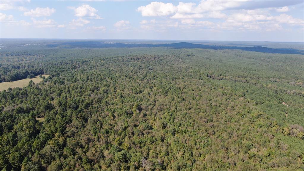 0 County Road 280 Garrison, TX 75946 - Photo 16 of 29