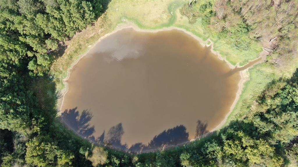 0 County Road 280 Garrison, TX 75946 - Photo 17 of 29