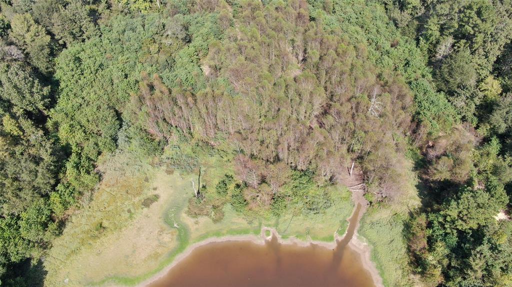 0 County Road 280 Garrison, TX 75946 - Photo 18 of 29