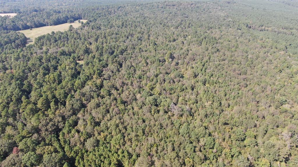 0 County Road 280 Garrison, TX 75946 - Photo 19 of 29