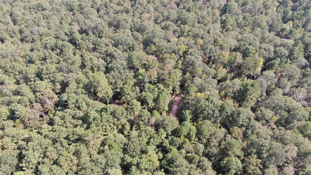 0 County Road 280 Garrison, TX 75946 - Photo 20 of 29