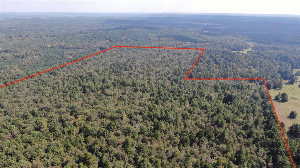 0 County Road 280 Garrison, TX 75946 - Photo 2 of 29