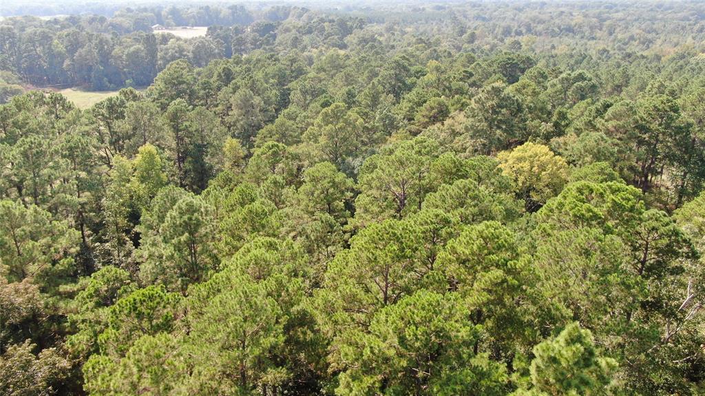 0 County Road 280 Garrison, TX 75946 - Photo 22 of 29