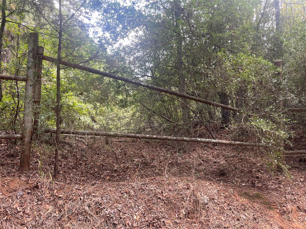 0 County Road 280 Garrison, TX 75946 - Photo 23 of 29