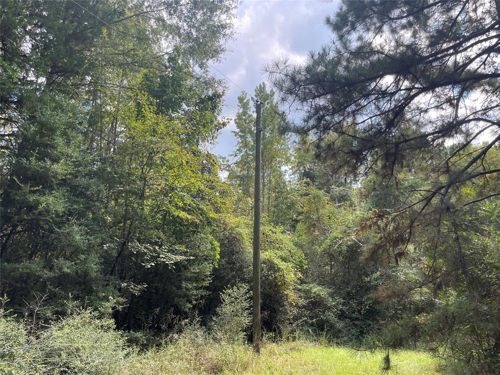 0 County Road 280 Garrison, TX 75946 - Photo 25 of 29