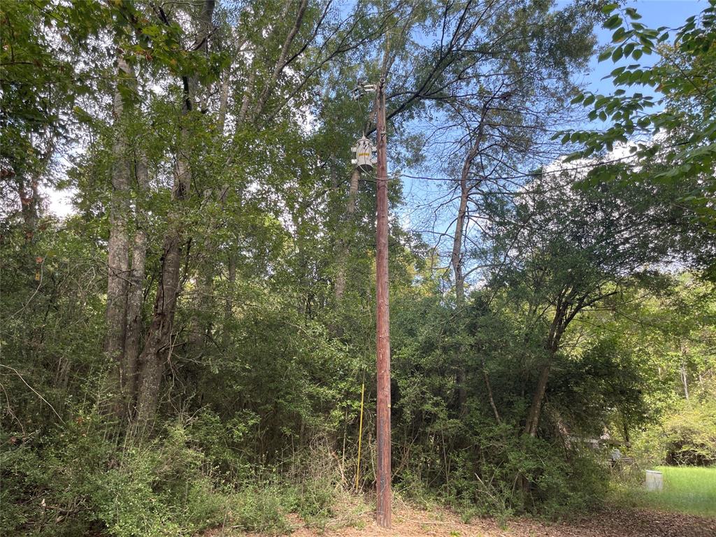 0 County Road 280 Garrison, TX 75946 - Photo 26 of 29