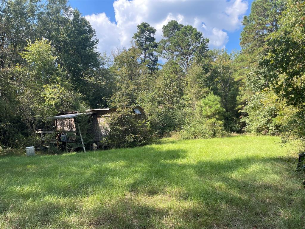 0 County Road 280 Garrison, TX 75946 - Photo 27 of 29