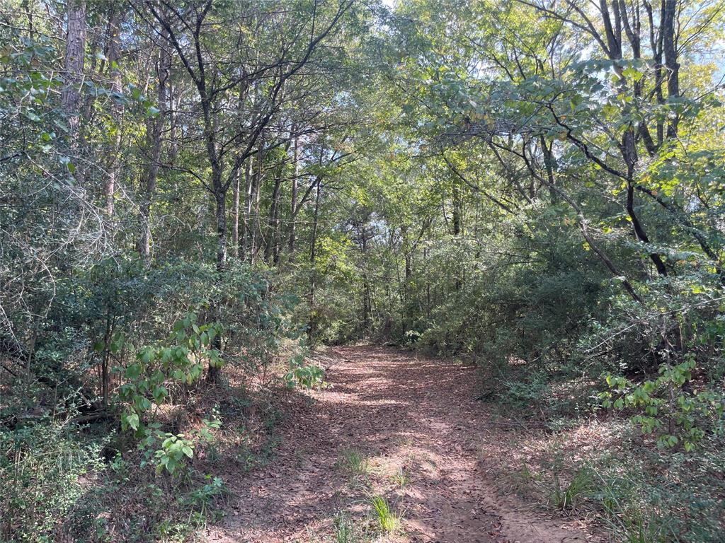 0 County Road 280 Garrison, TX 75946 - Photo 28 of 29
