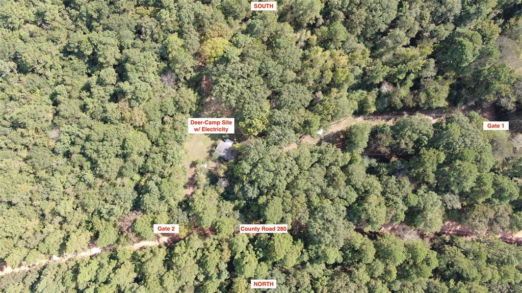 0 County Road 280 Garrison, TX 75946 - Photo 4 of 29