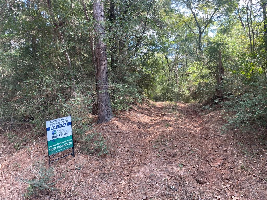 0 County Road 280 Garrison, TX 75946 - Photo 6 of 29