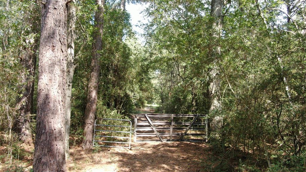 0 County Road 280 Garrison, TX 75946 - Photo 7 of 29