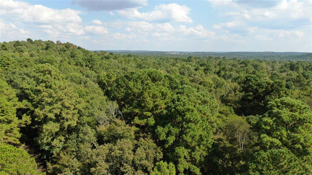 0 County Road 280 Garrison, TX 75946 - Photo 9 of 29