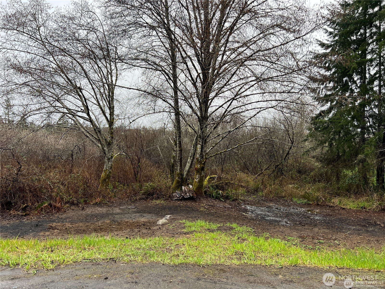 X Willapa Road Raymond, WA 98577 - Photo 3 of 8