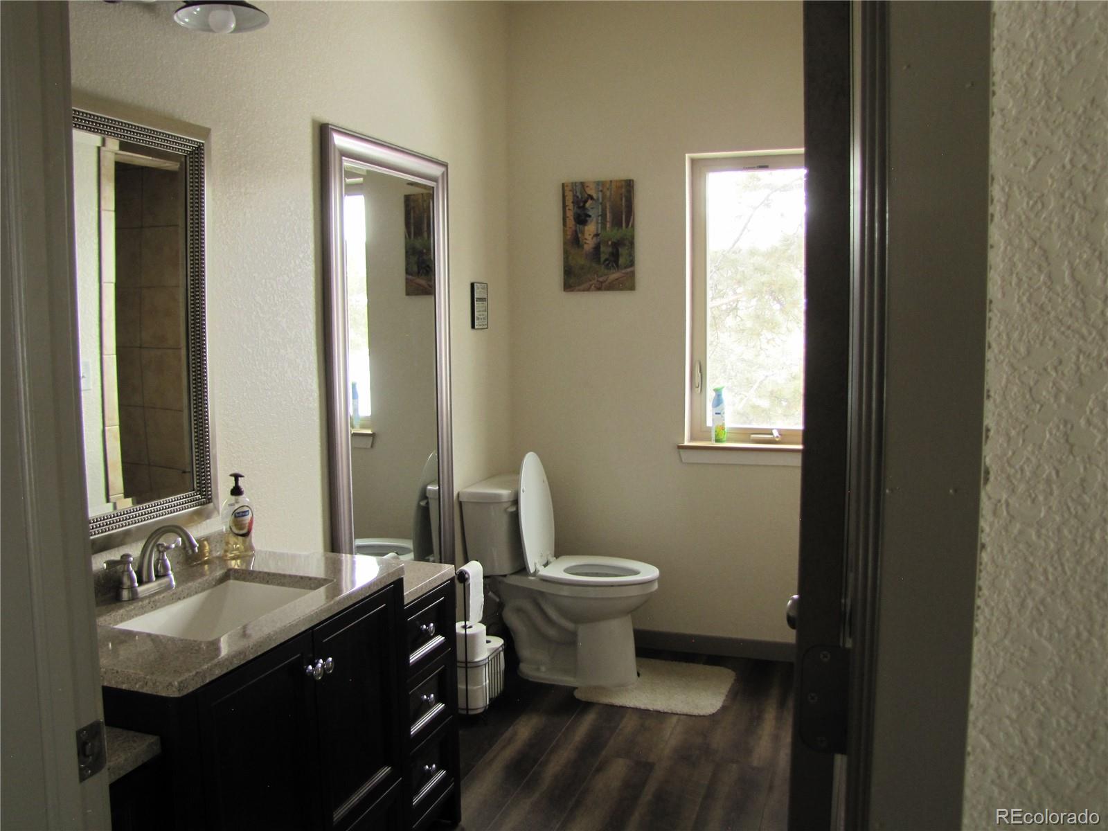 2925 Singletree Road Hartsel, CO 80449 - Photo 13 of 18