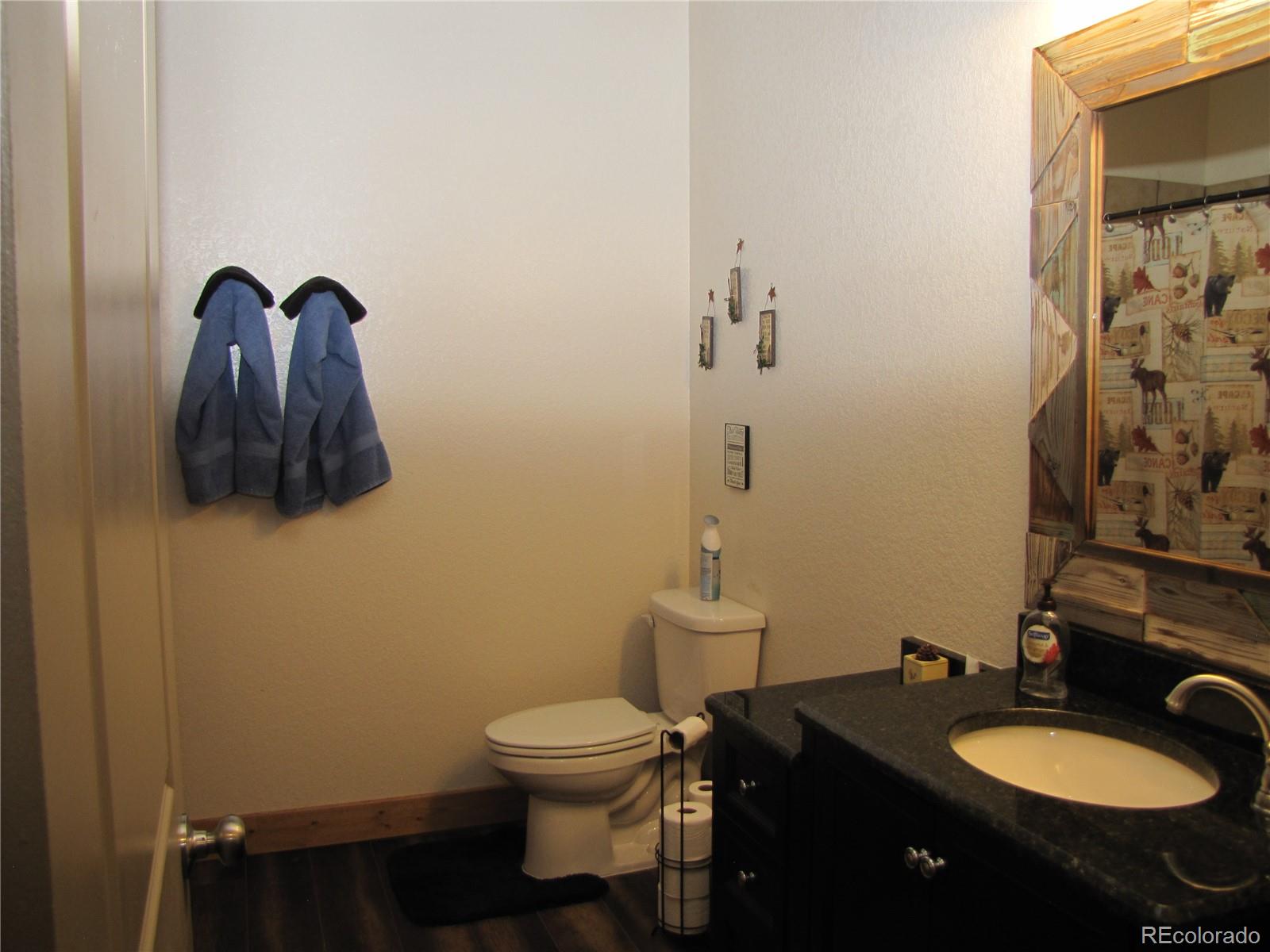 2925 Singletree Road Hartsel, CO 80449 - Photo 4 of 18