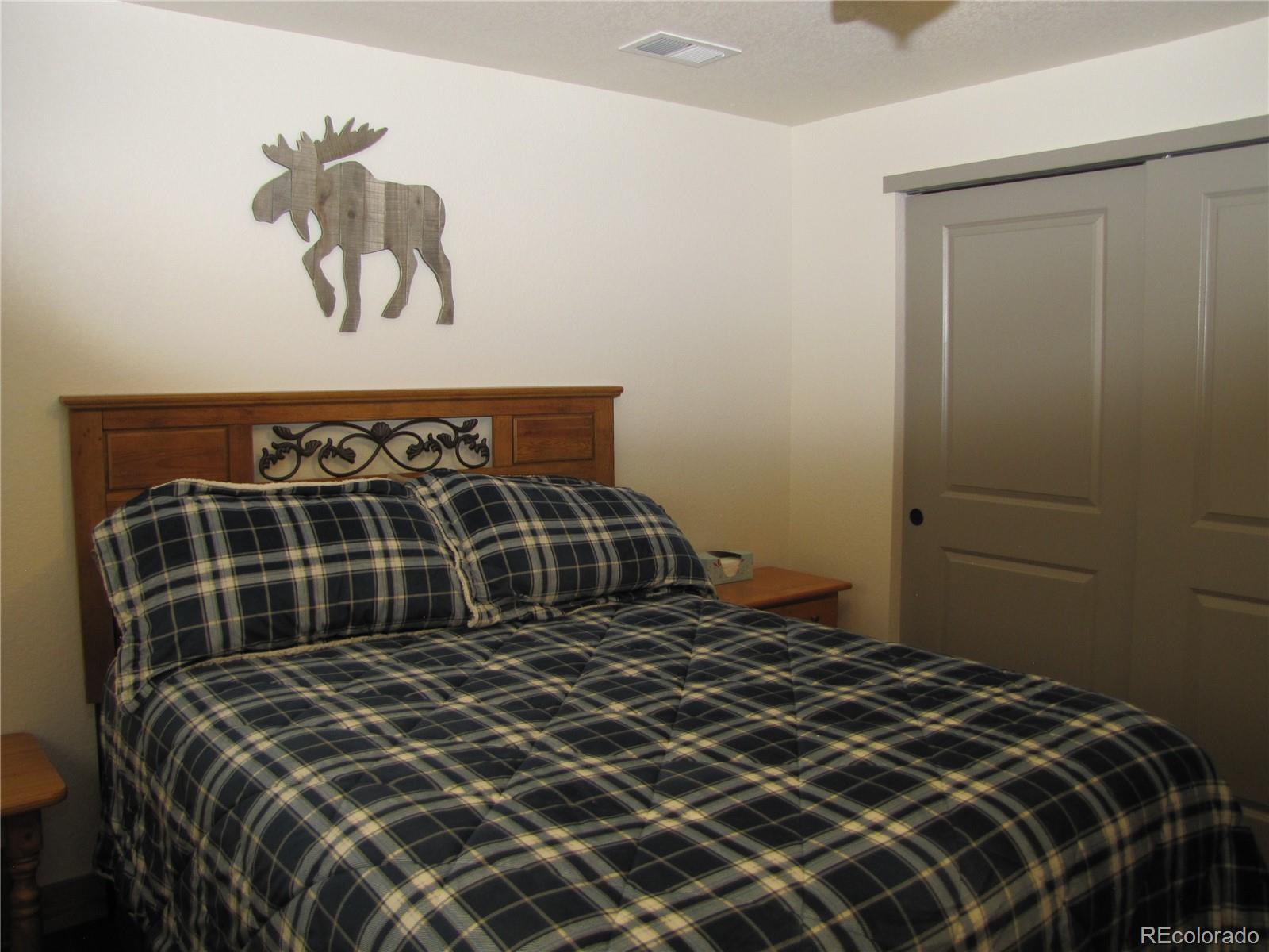 2925 Singletree Road Hartsel, CO 80449 - Photo 5 of 18