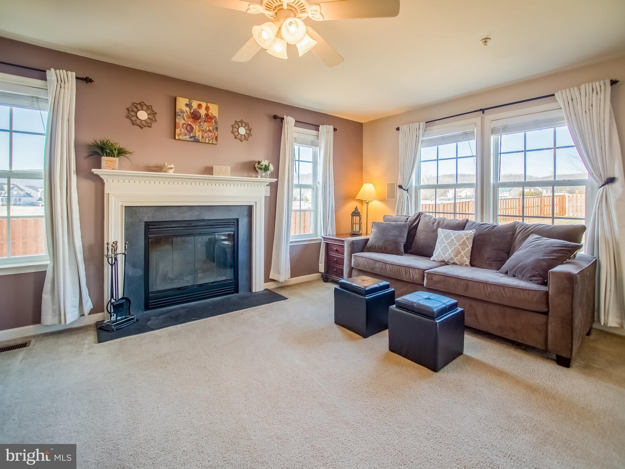 1699 Conrads Ferry Drive Point of Rocks, MD 21777 - Photo 6 of 30 a living room with furniture a window and a fireplace