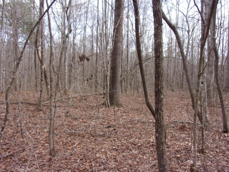 Barbee Cemetery Road Pikeville, TN 37367 - Photo 12 of 40 20190304213840295033000000-o