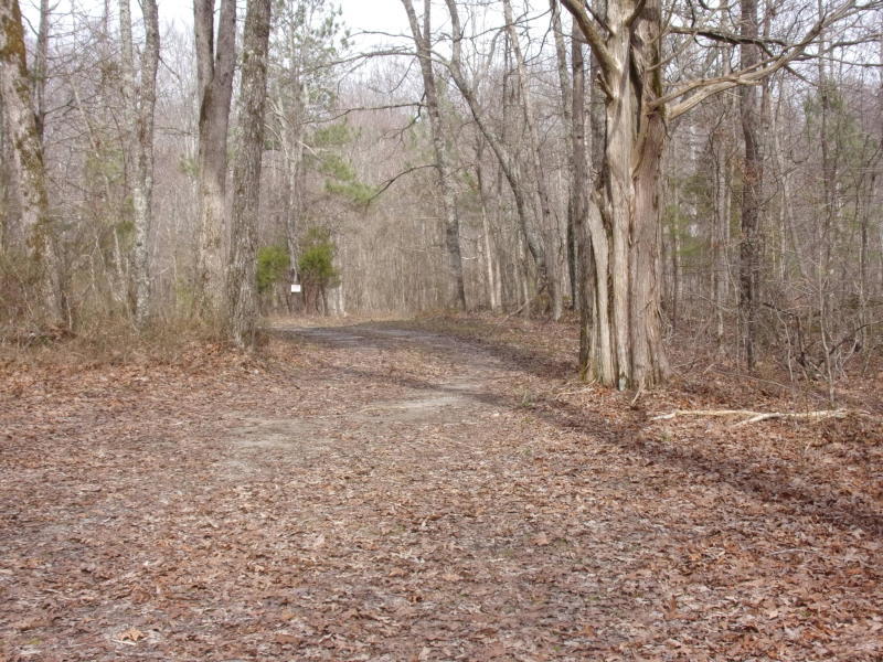 Barbee Cemetery Road Pikeville, TN 37367 - Photo 17 of 40 20190304213909705375000000-o
