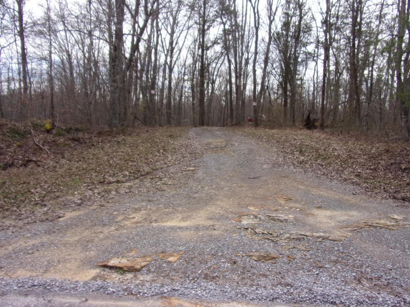 Barbee Cemetery Road Pikeville, TN 37367 - Photo 19 of 40 20190304213921859719000000-o