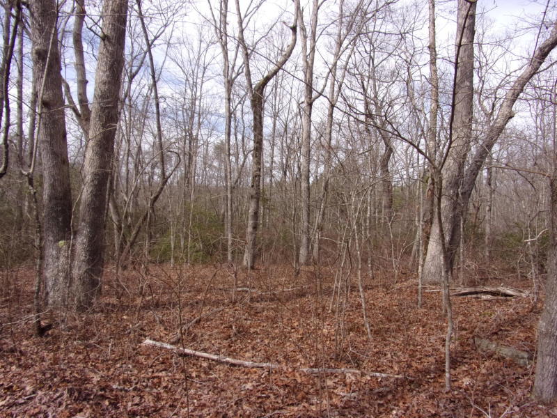 Barbee Cemetery Road Pikeville, TN 37367 - Photo 3 of 40 20190304213756113200000000-o