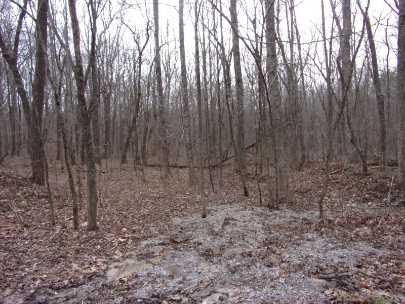 Barbee Cemetery Road Pikeville, TN 37367 - Photo 21 of 40 20190304213931643432000000-o
