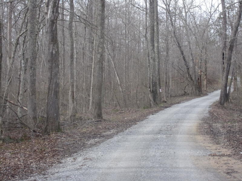 Barbee Cemetery Road Pikeville, TN 37367 - Photo 22 of 40 20190304213935102540000000-o