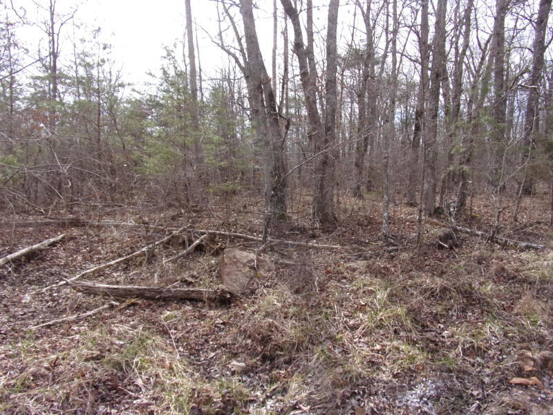 Barbee Cemetery Road Pikeville, TN 37367 - Photo 24 of 40 20190304213944410396000000-o
