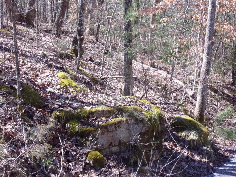 Barbee Cemetery Road Pikeville, TN 37367 - Photo 25 of 40 20190305201200384791000000-o