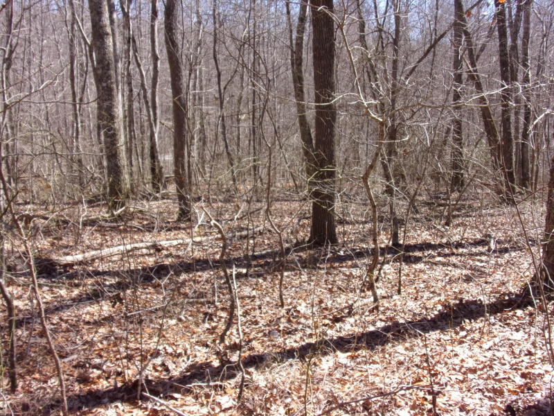 Barbee Cemetery Road Pikeville, TN 37367 - Photo 28 of 40 20190305201211498160000000-o