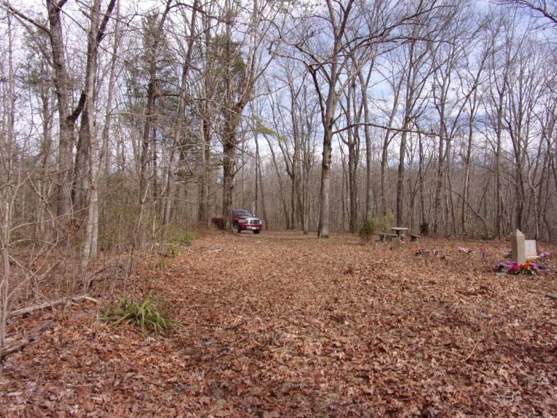 Barbee Cemetery Road Pikeville, TN 37367 - Photo 4 of 40 20190304213800281346000000-o