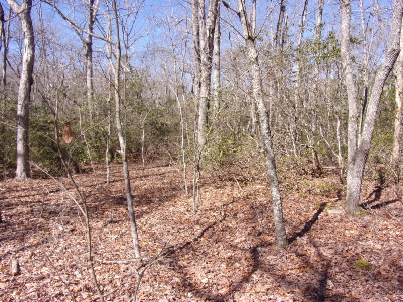 Barbee Cemetery Road Pikeville, TN 37367 - Photo 35 of 40 20190305201236658090000000-o
