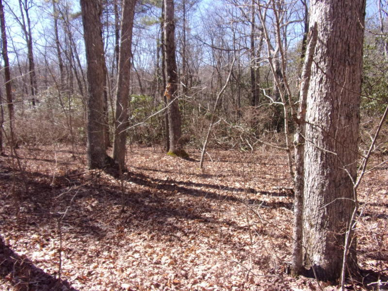 Barbee Cemetery Road Pikeville, TN 37367 - Photo 36 of 40 20190305201242334583000000-o