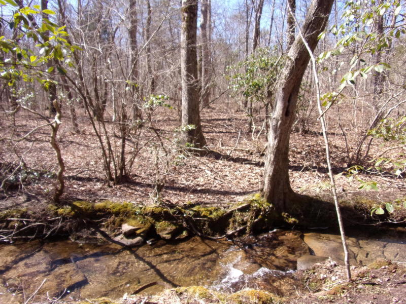 Barbee Cemetery Road Pikeville, TN 37367 - Photo 37 of 40 20190305201250105604000000-o