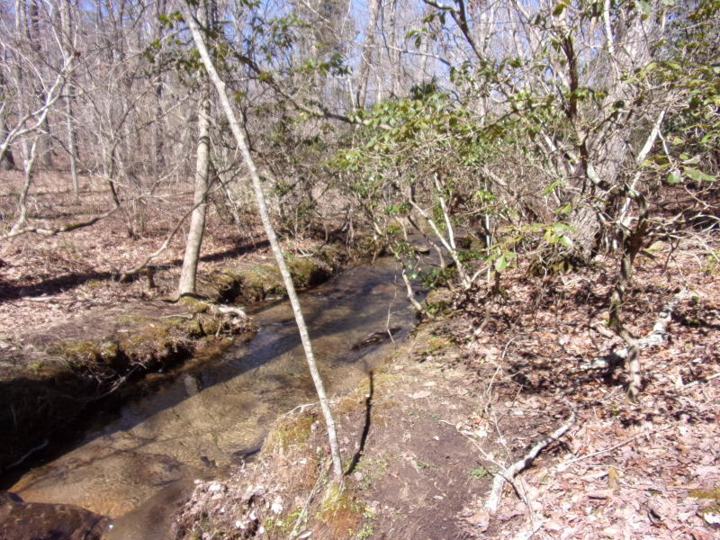 Barbee Cemetery Road Pikeville, TN 37367 - Photo 38 of 40 20190305201257616128000000-o
