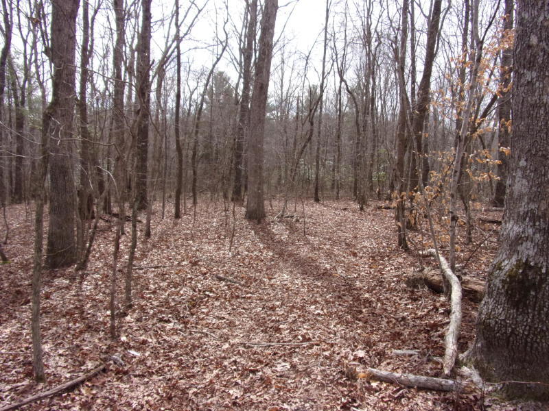 Barbee Cemetery Road Pikeville, TN 37367 - Photo 6 of 40 20190304213806761610000000-o