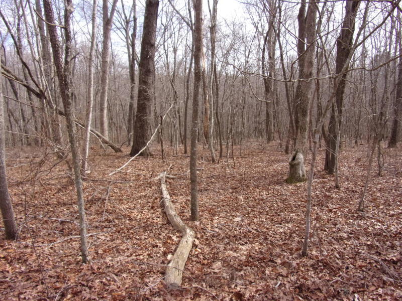 Barbee Cemetery Road Pikeville, TN 37367 - Photo 7 of 40 20190304213815803584000000-o
