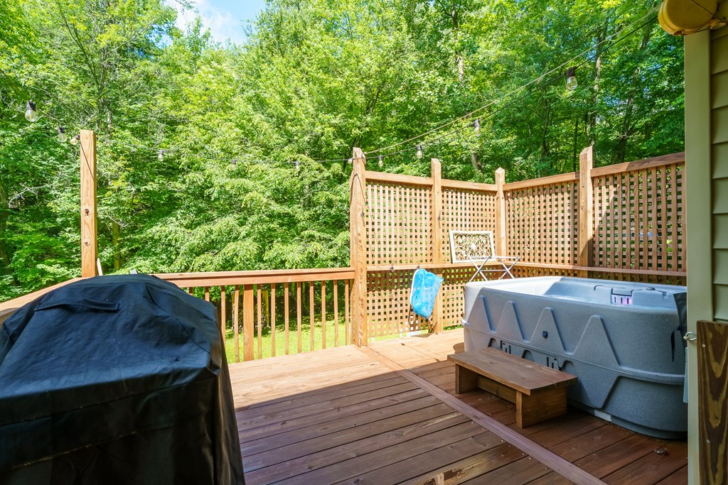 1643 Lucius Road Cherry Log, GA 30522 - Photo 14 of 45