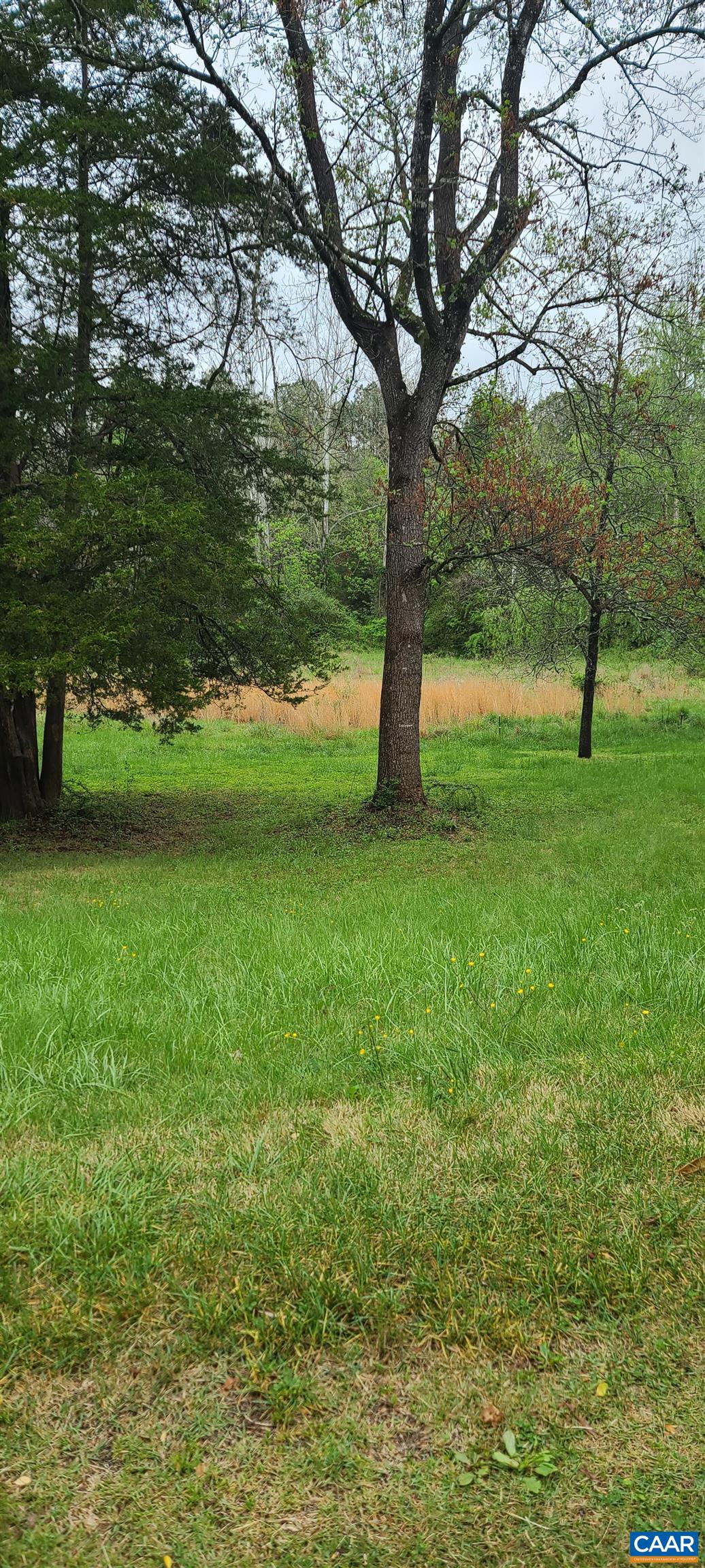 1250 Celt Road Stanardsville, VA 22973 - Photo 16 of 18 Gallery Image 16