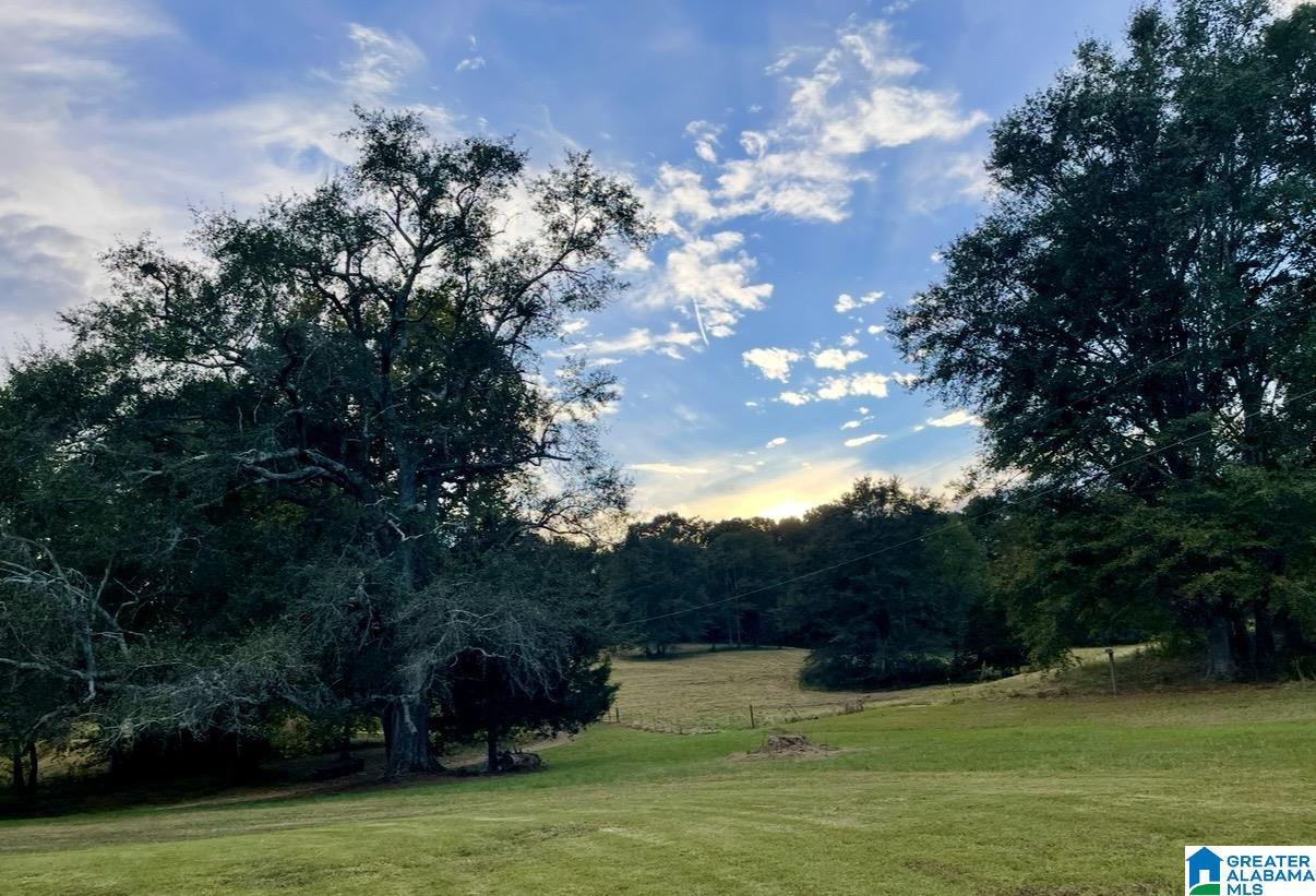 1749 McCollum Church Road Lineville, AL 36266 - Photo 50 of 66