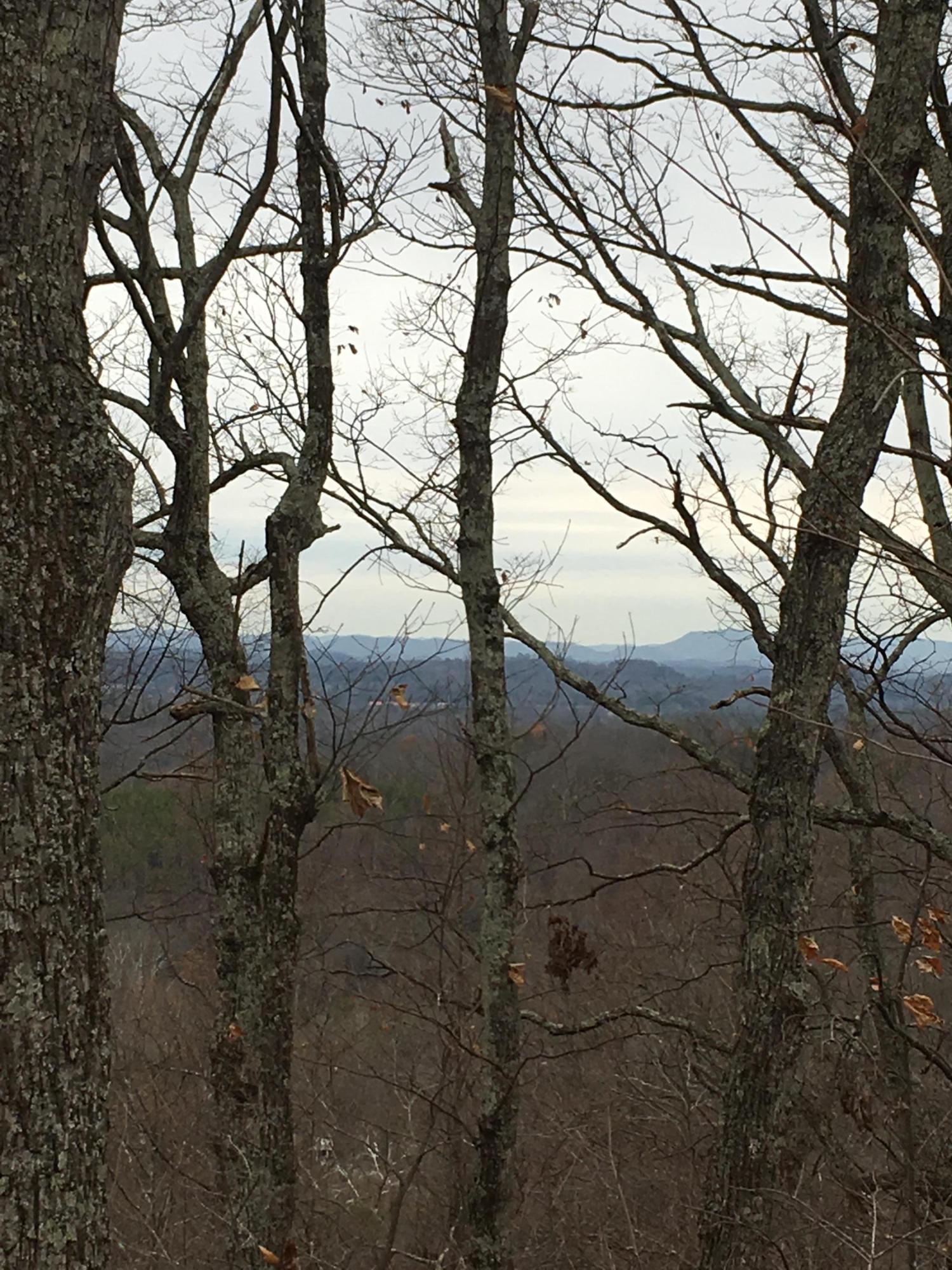 1308 Rhea Road Knoxville, TN 37920 - Photo 8 of 8 tree removal for better mountain views
