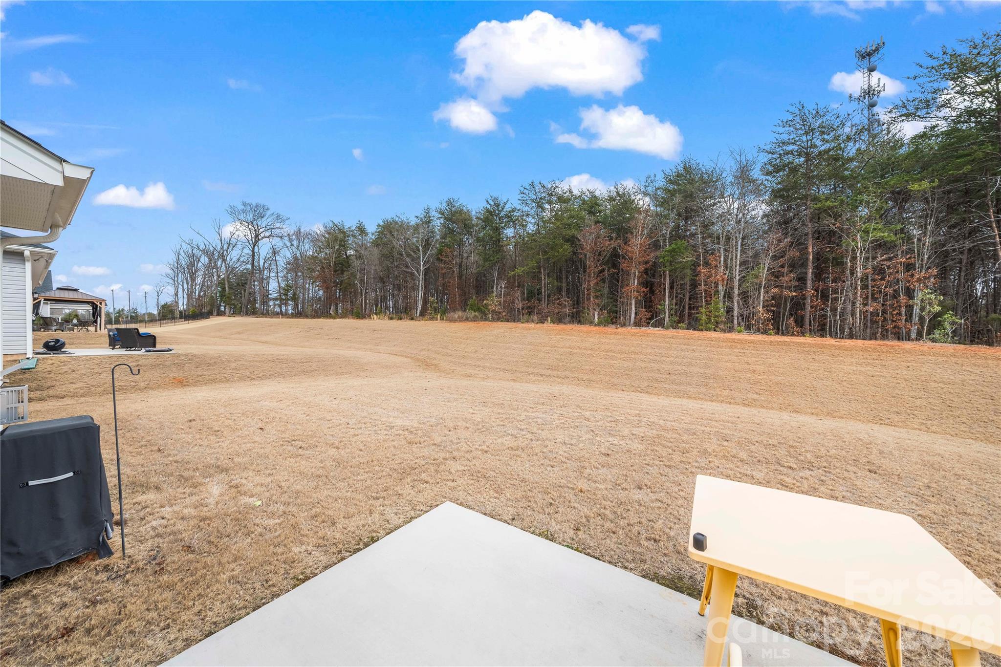 7380 Latham Way Denver, NC 28037 - Photo 32 of 39 a view of road with large trees
