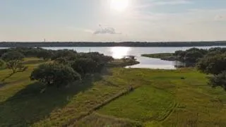 a view of a yard with wooden fence