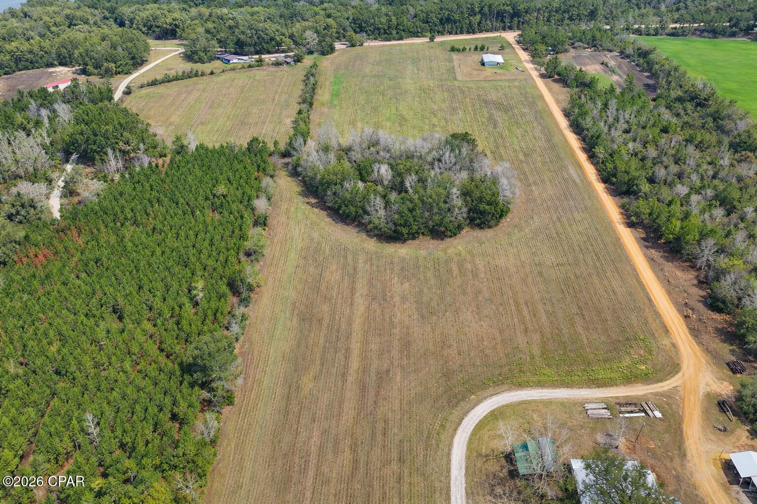 0 Curry Ferry Road Bonifay, FL 32425 - Photo 4 of 9