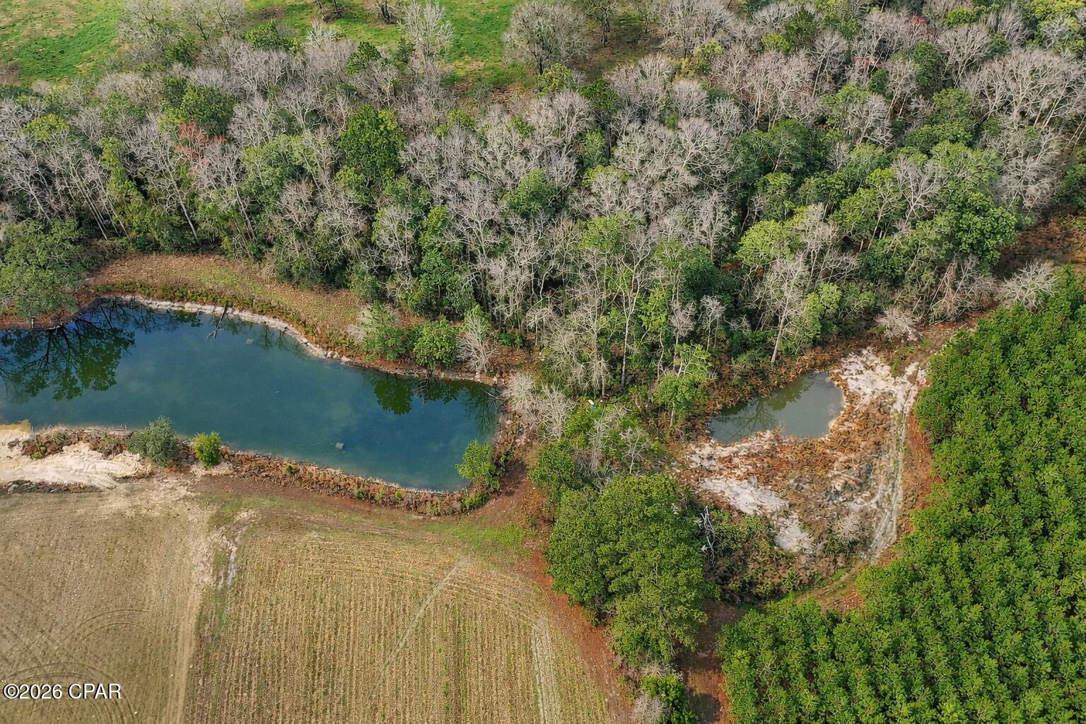 0 Curry Ferry Road Bonifay, FL 32425 - Photo 7 of 9