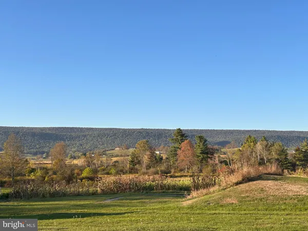 a view of a back yard of the house